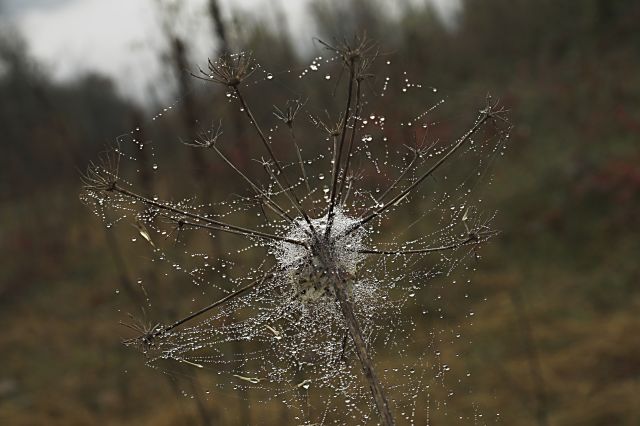 PICT1120-01.jpg