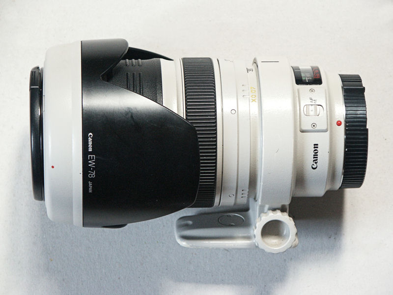 PICT1709-800.JPG