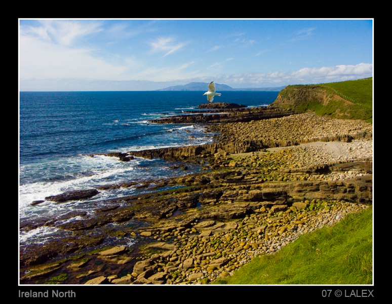 PICT1791-copia.jpg