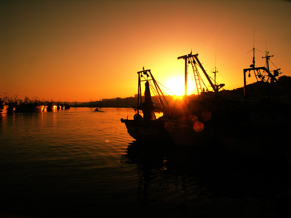PICT1892-2dd.jpg