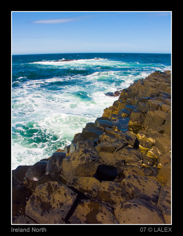 PICT2071-copia.jpg
