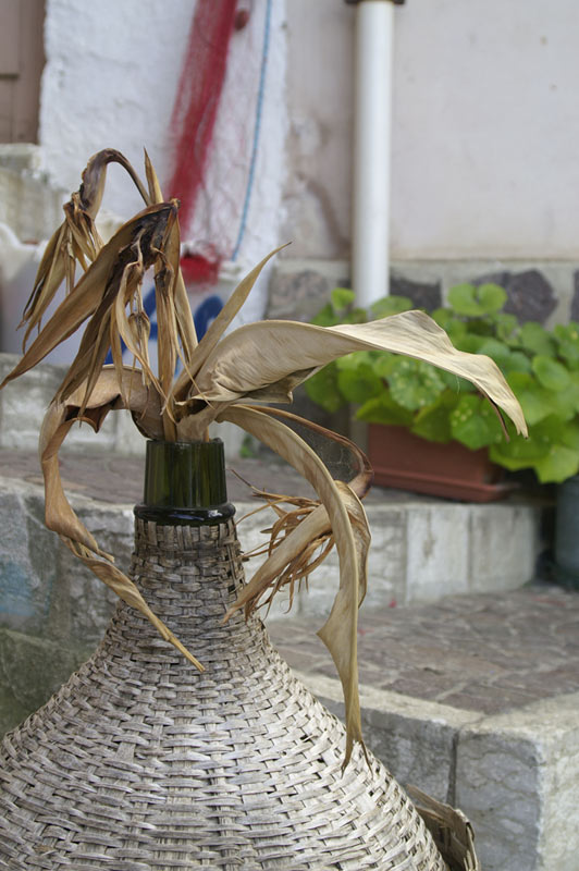 PICT2109.jpg