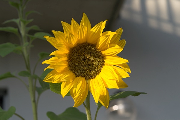 PICT4118.JPG