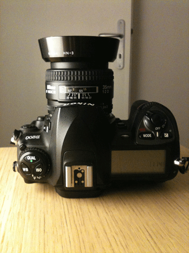 Picture5.gif
