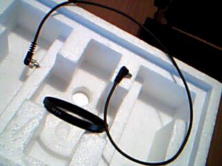 Picture 22.jpg