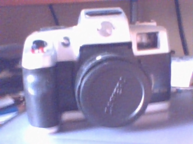 Picture 31.jpg