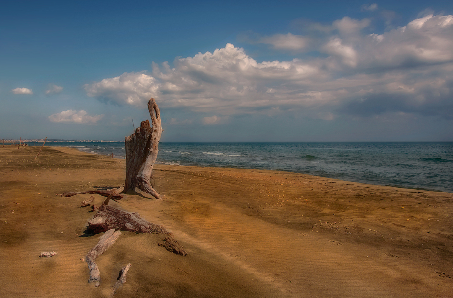 piede su spiaggia .jpg