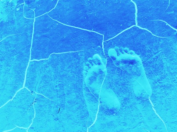 piedi 2.jpg