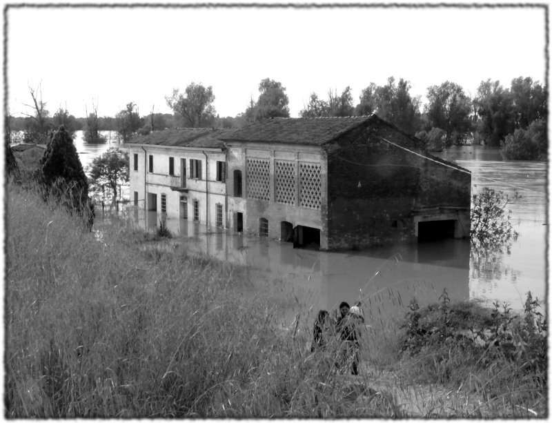 piena-rid.jpg