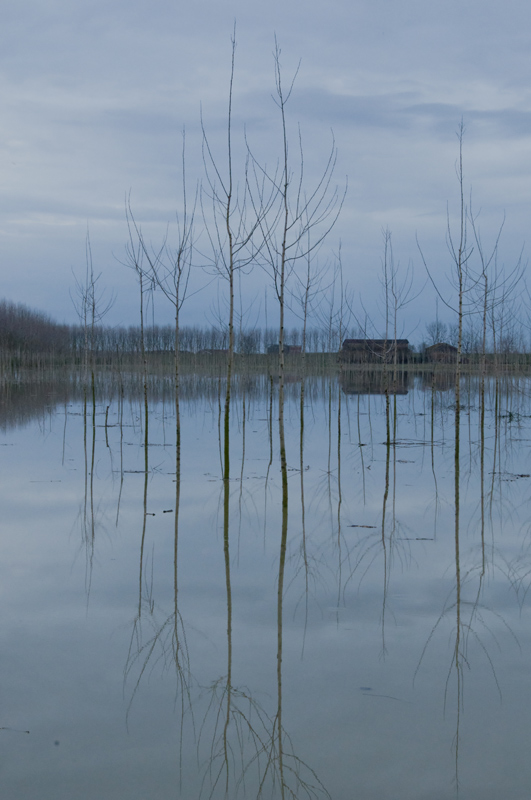 piena2011-foto-base.jpg