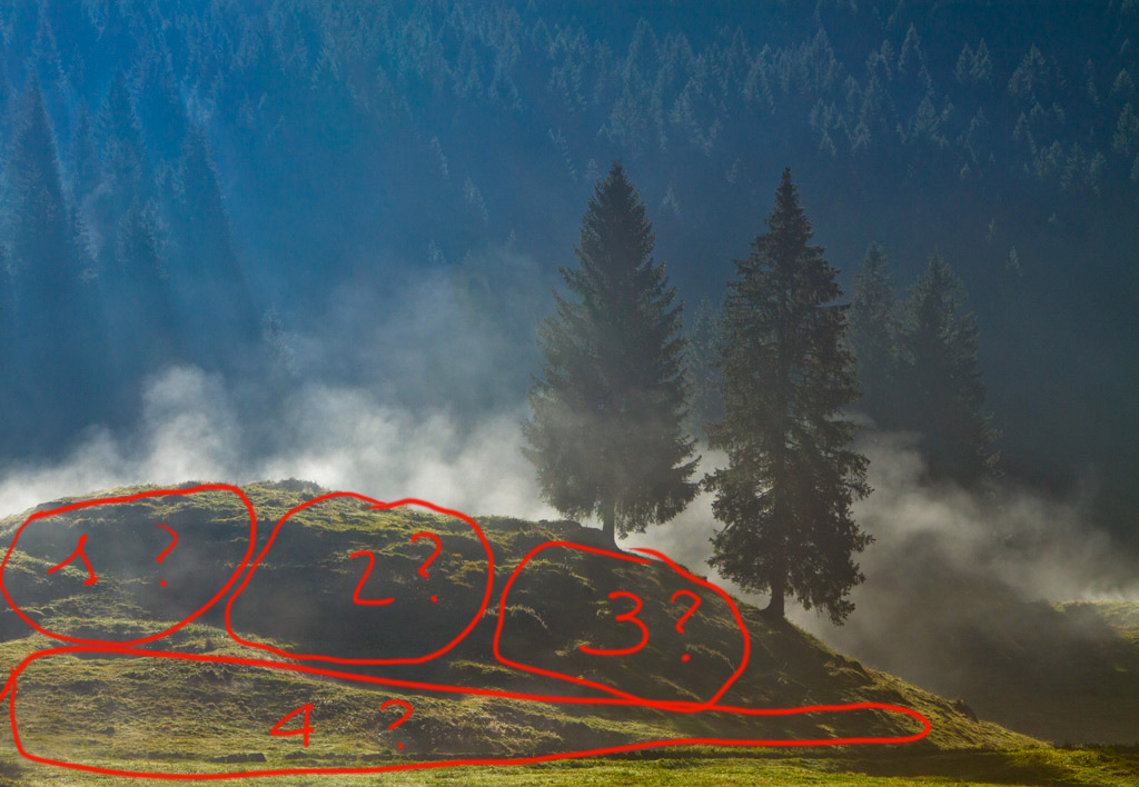 Pini-nella-nebbia.jpg