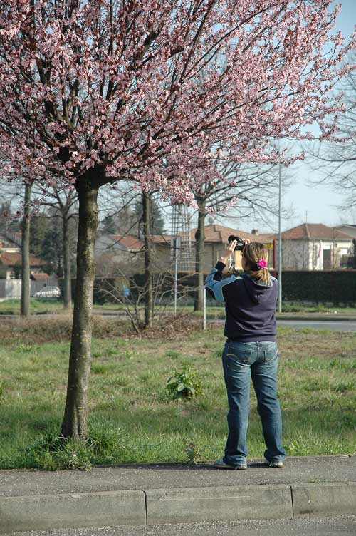 pink-valeria.jpg