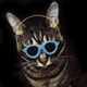 Pino.gif