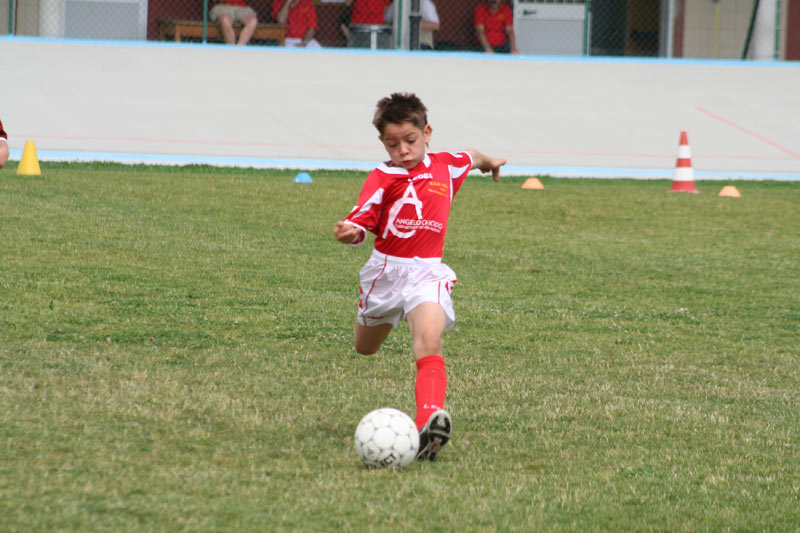 piosal_97_52.jpg