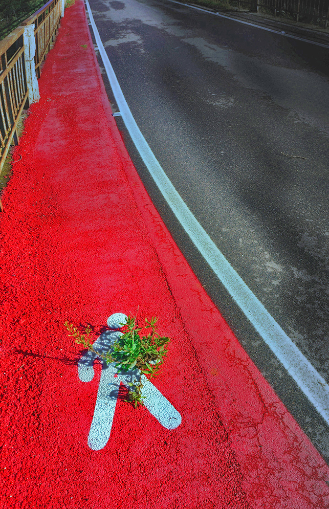 pista-pedonabile-colore.jpg