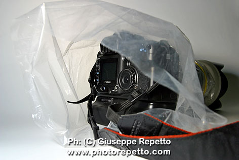 Plastic-cover_IMG_2705.jpg