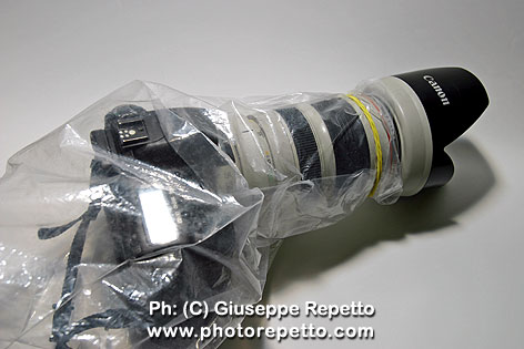 Plastic-cover_IMG_2707.jpg