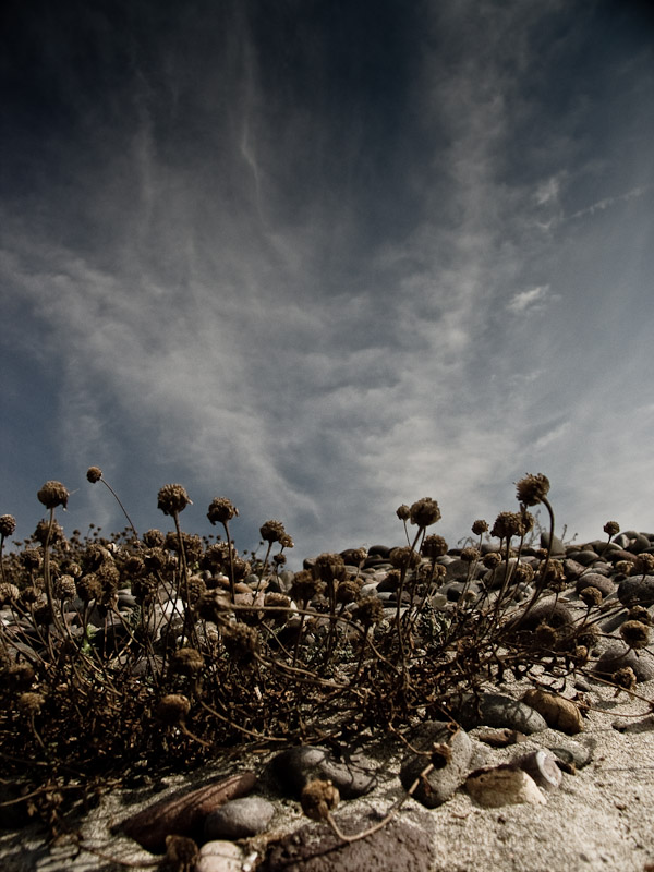 platamona, terracielo104.jpg