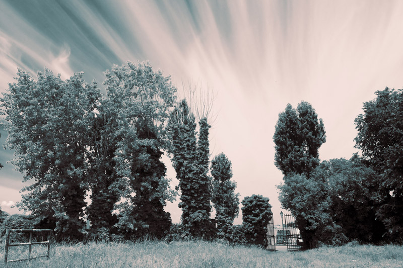 Playground 05.6.jpg