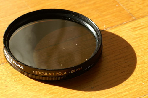 pola1.jpg