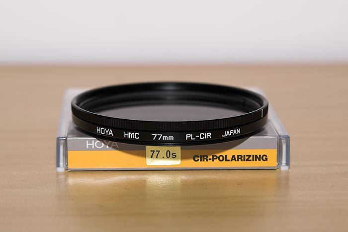 Pola2.jpg