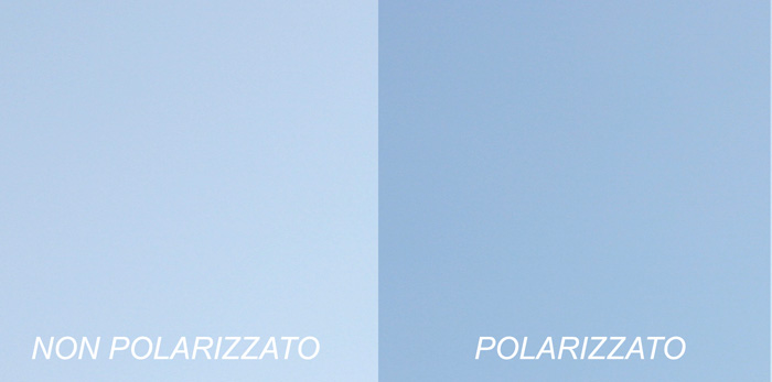 Polarizer.jpg