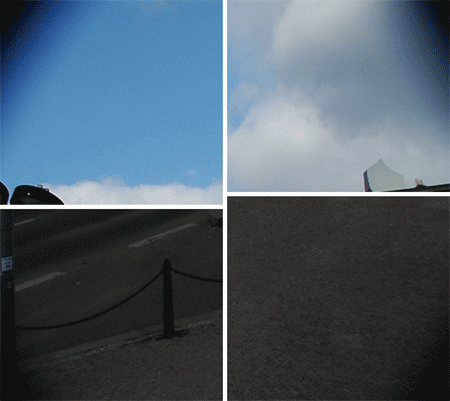 polarizz.gif