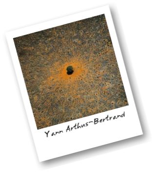 polaroid.jpg