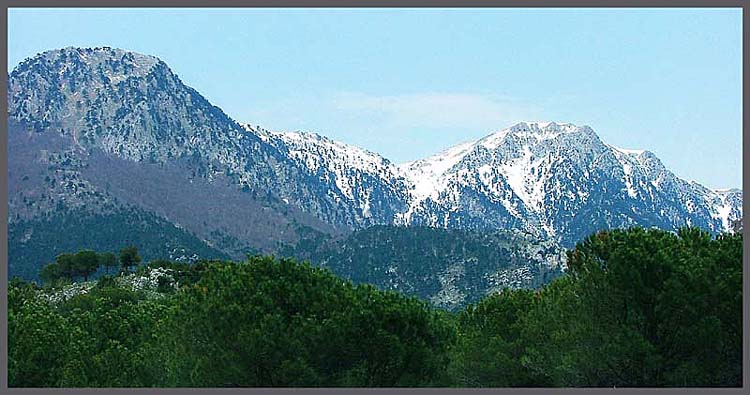pollino4.jpg