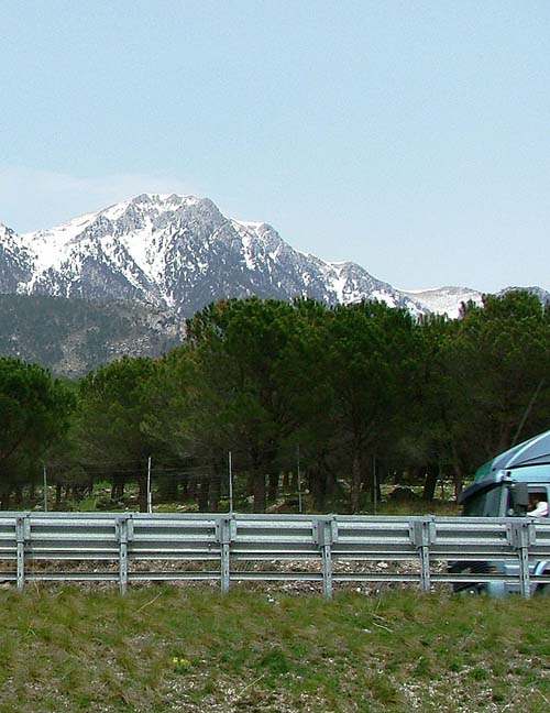 pollino.jpg