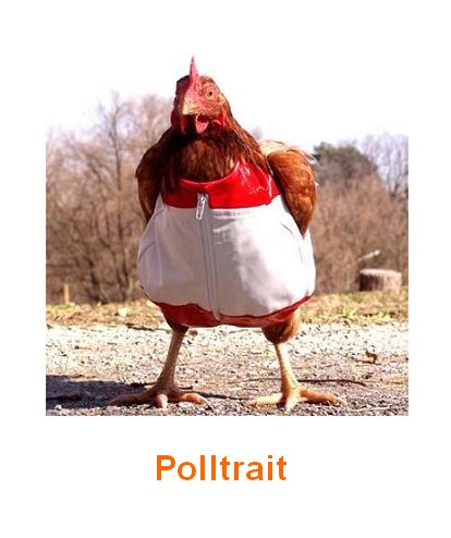polltrait.jpg