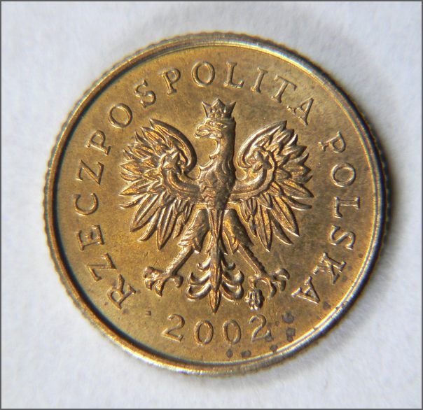 polonia_moneta.jpg