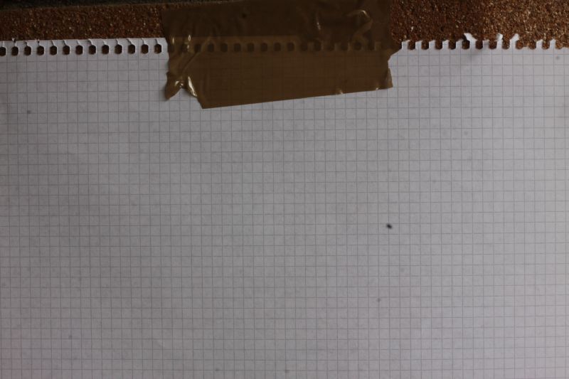 polvere sensore.jpg