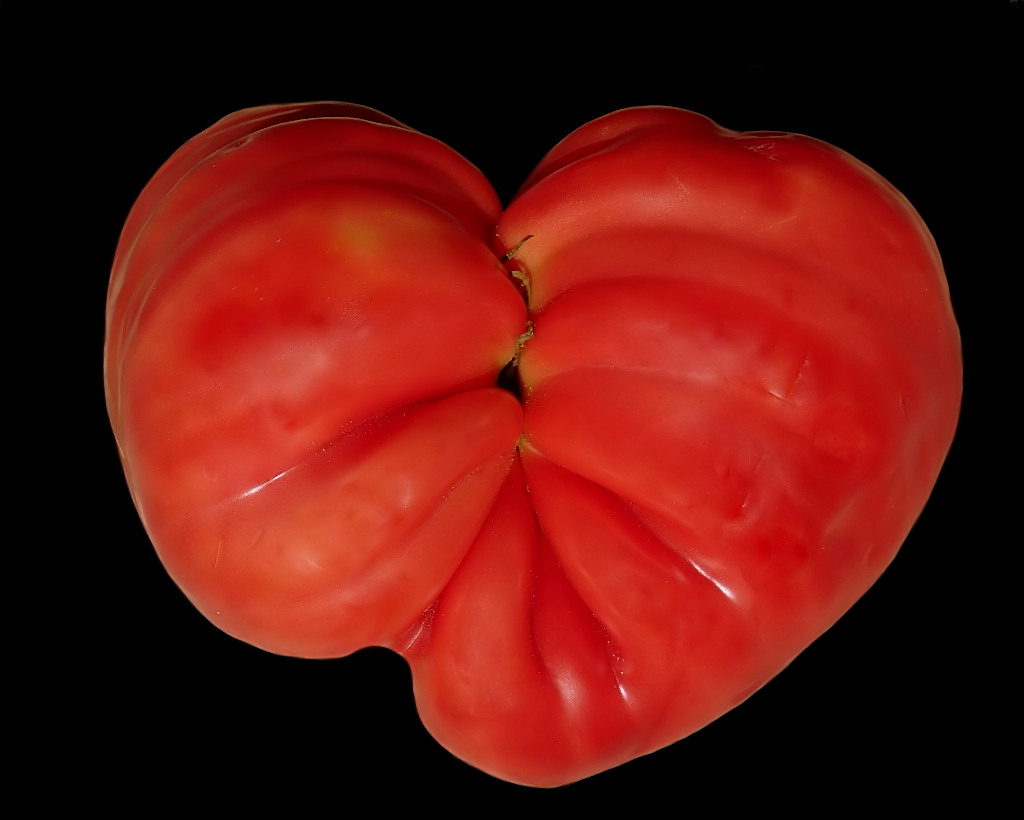 pomodoro.jpg
