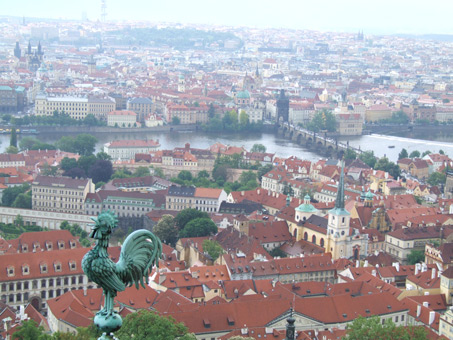 ponte-carlo.jpg