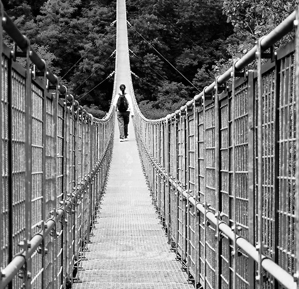 ponte.jpg