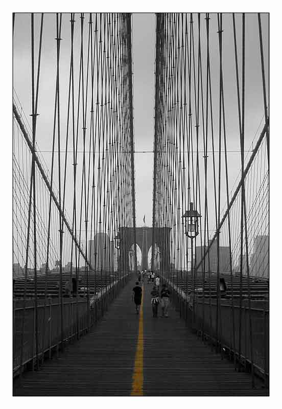 Ponte.jpg
