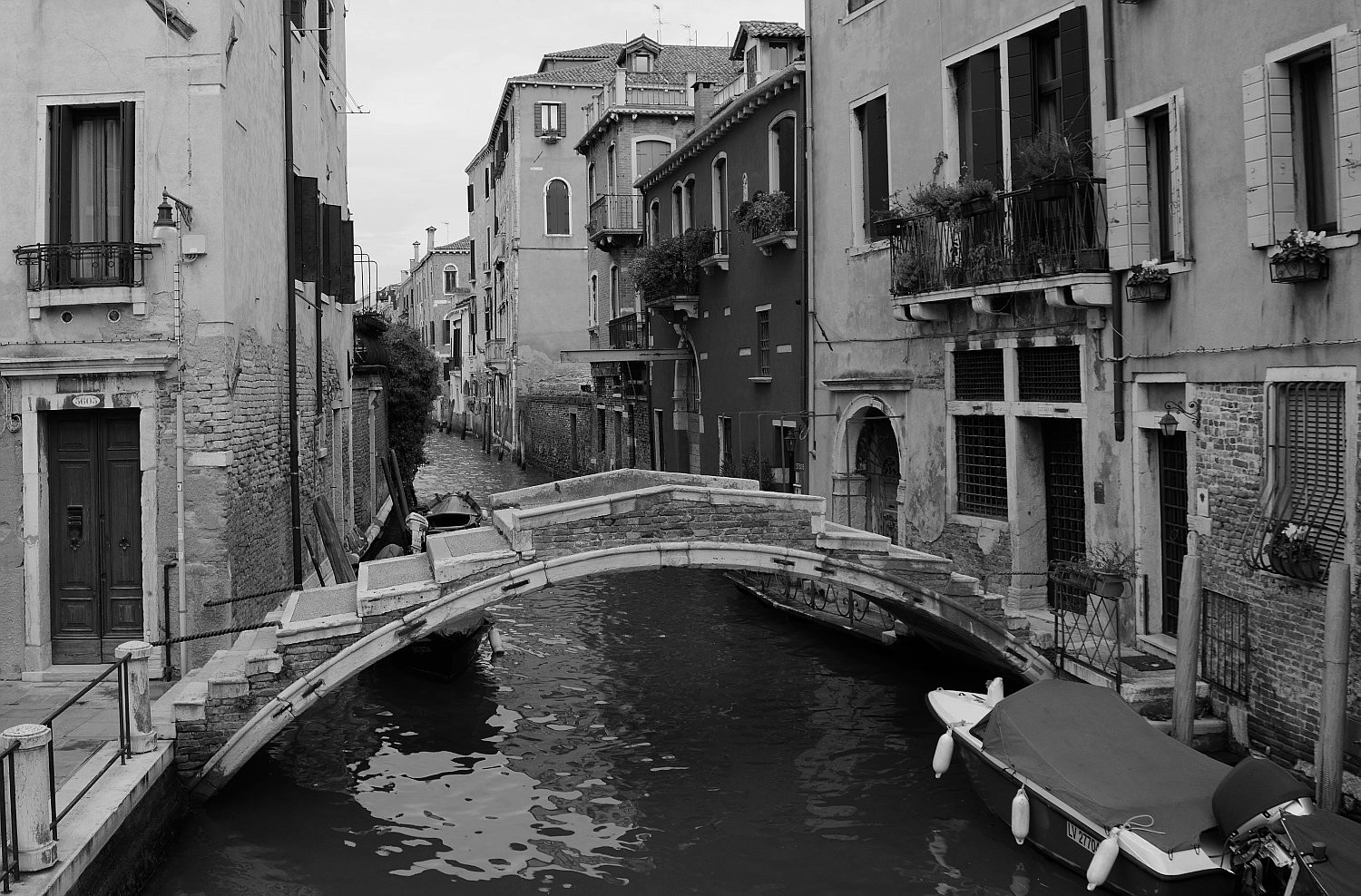 Ponte.jpg