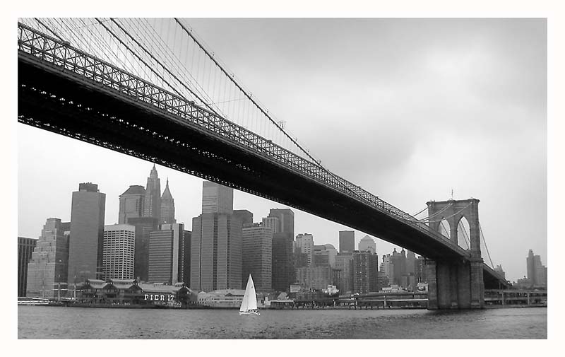 Ponte.jpg
