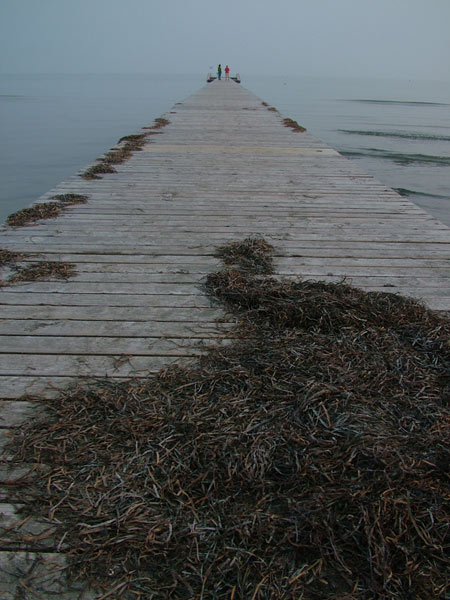 pontile_autunno_orig.jpg