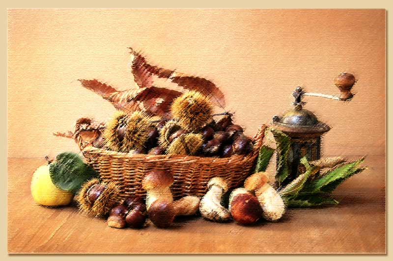 Porcini-&-castagne-tela.jpg