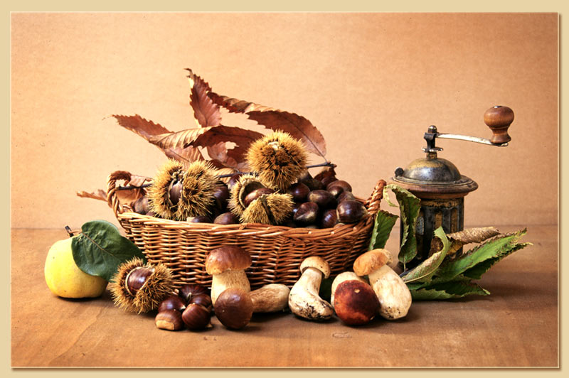 Porcini-castagne-1.jpg
