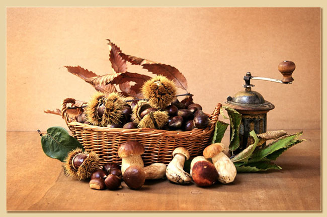 porcini-castagne-1_129.jpg