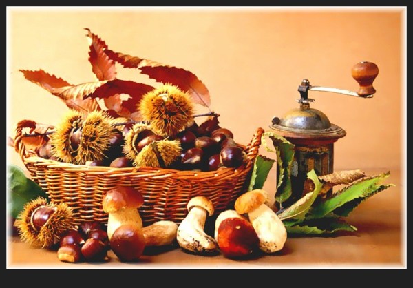porcini-castagne-1_129.jpg