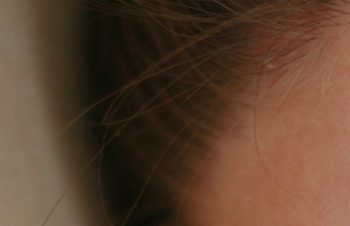 portrait_d5_orig.jpg