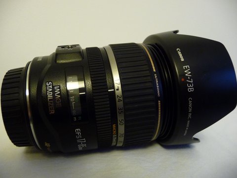 post-2589-1253035148.jpg