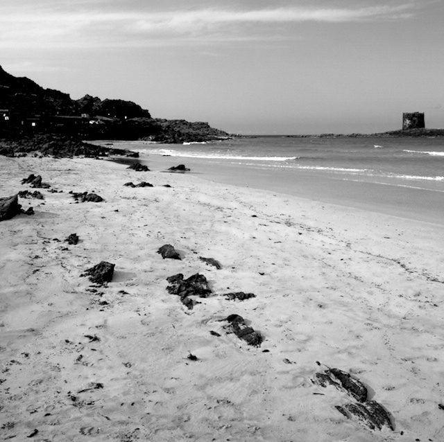 pp-B&W.jpg