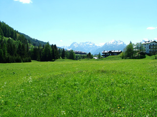 PRATO2.jpg