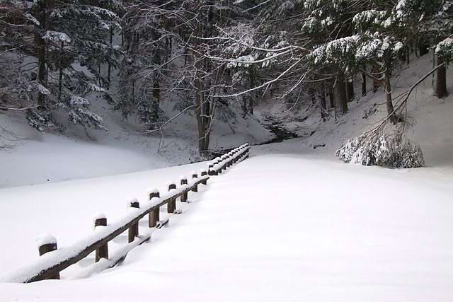Prato al Fiume 8 [640x480].JPG