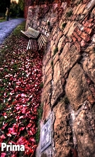 prima1_164_b_tonemapped.jpg